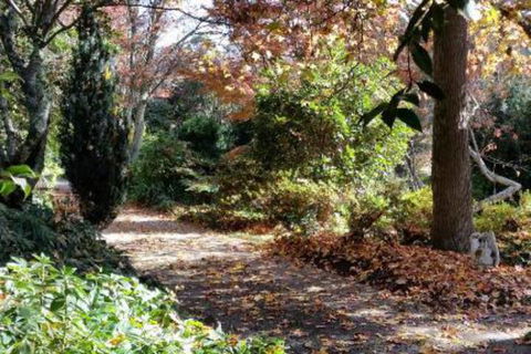 A Winter Rose - Accommodation Fremantle 1