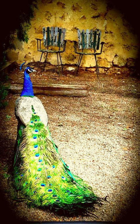 A La Folly - Accommodation Fremantle 4