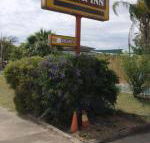 Golden West Motor Inn - Accommodation Fremantle