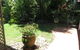 Palm Cove Rainforest Cottage - thumb 2
