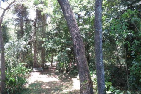 Palm Cove Rainforest Cottage - Accommodation Fremantle 1