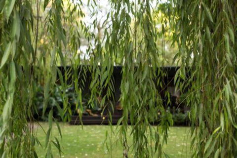 Botanica Editions - Accommodation Fremantle 6