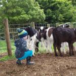 Manderley Park Farmstay B & B - Accommodation Fremantle 0