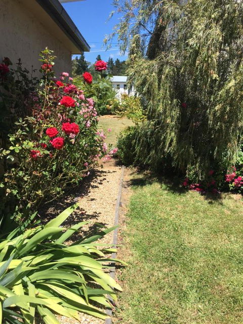 The Storekeepers - Accommodation Fremantle 5