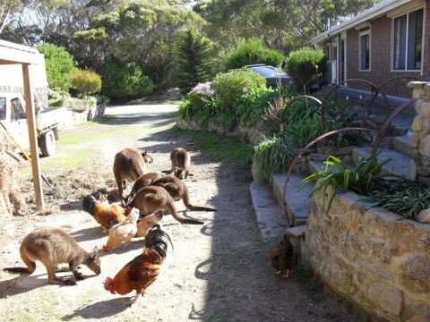 Anchorage Apartments - Accommodation Fremantle 4