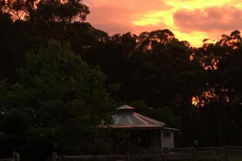 Ionaforest Yurt & Shepherds Hut - Accommodation Fremantle 4