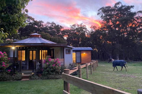 Ionaforest Yurt & Shepherds Hut - Accommodation Fremantle 3