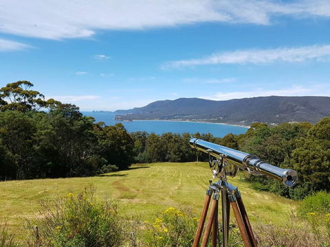 Eaglehawk Rainforest Retreat - Accommodation Fremantle 0