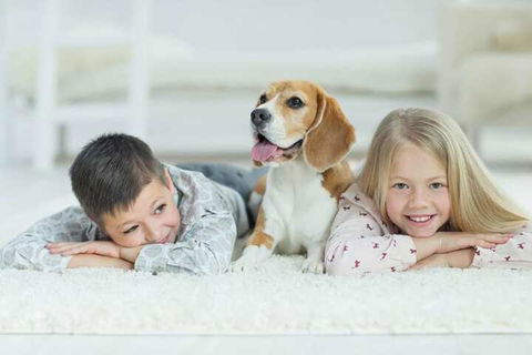 Boutique Stays - Vox Terrace, Prahran - Accommodation Fremantle 5