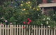 Blyth Cottage Burra - thumb 0