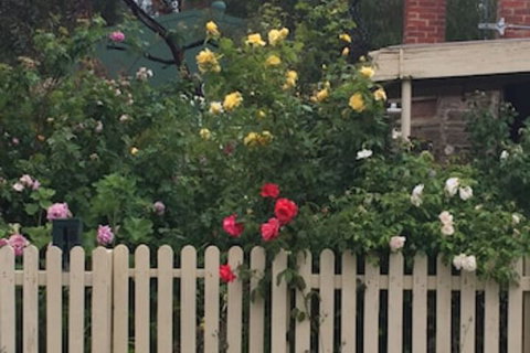 Blyth Cottage Burra - Accommodation Fremantle 0
