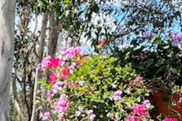 The Bluff QLD Accommodation Fremantle