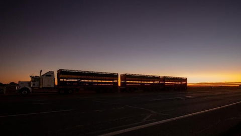 Longreach Outback Adventures - Accommodation Fremantle 2