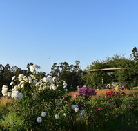 Labertouche Gypsy Creek Winery - Accommodation Fremantle
