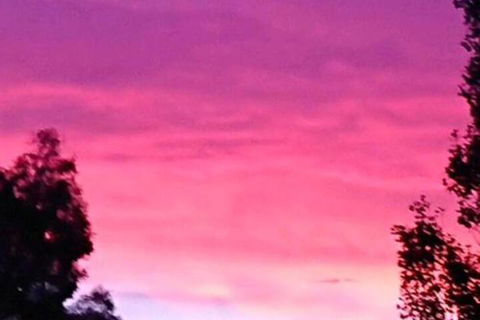 Abelia BIG SPA NO 1 Cottage - Accommodation Fremantle 6