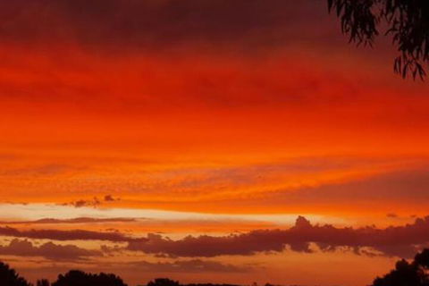 Abelia BIG SPA NO 1 Cottage - Accommodation Fremantle 4