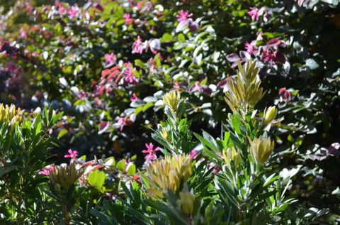 A Bach At Bright Bright VIC - Accommodation Fremantle 4