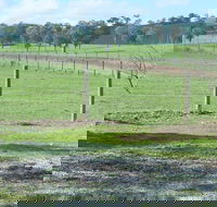 Yea Woodduck Cottage - Accommodation Fremantle