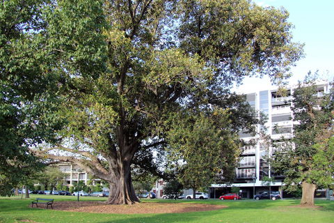 Adelaide Central Apartment - 3BR, 2Bath & Carpark - Accommodation Fremantle 1