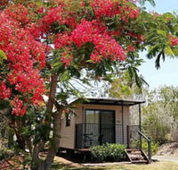 Mt Larcom Tourist Park - Accommodation Fremantle