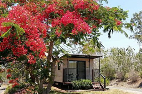 Mt Larcom Tourist Park - Accommodation Fremantle 0