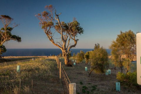 Fleurieu Coastal Retreat Lot 150 Myponga Beach Road - Accommodation Fremantle 2