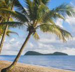 Eden Oceans Edge Palm Cove - Accommodation Fremantle