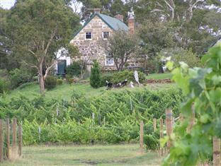 Craigie Knowe Cottage & Vineyard - Accommodation Fremantle 0
