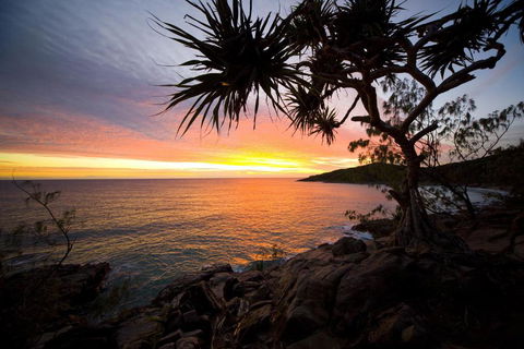 Jimmys Shout Pet Friendly - Accommodation Fremantle 6