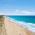 Jimmys Shout Pet Friendly - Accommodation Fremantle 0