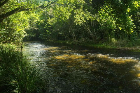 Cairns Homestead Acreage Pet & Family Friendly - Accommodation Fremantle 2
