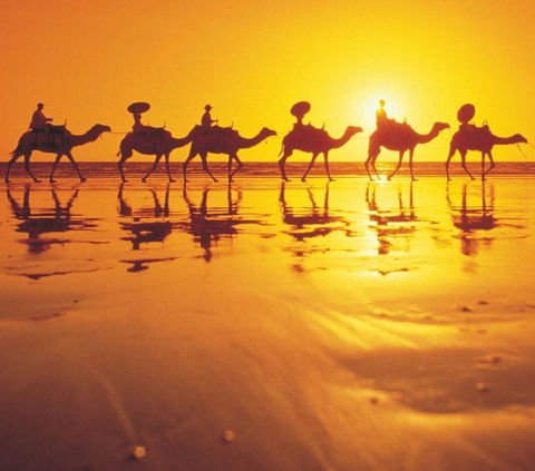 Mantra Frangipani Broome - Accommodation Fremantle 1