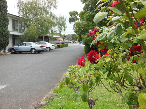 Ringwood Motel - Accommodation Fremantle 1