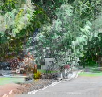 Oasis at Palm Cove - Accommodation Fremantle