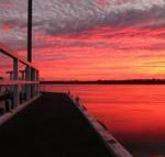 Fairy Wren Cottage Country to Coast Retreat - Accommodation Fremantle