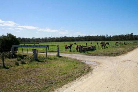 Brodribb River Rainforest Cabins Cabin 3 - Accommodation Fremantle 7