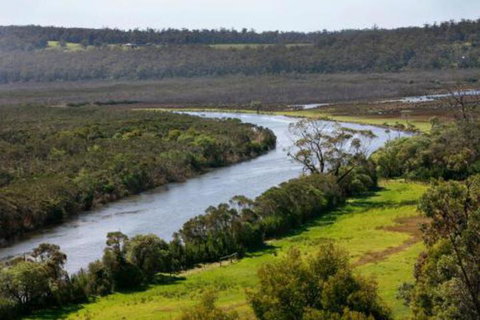 Brodribb River Rainforest Cabins Cabin 3 - Accommodation Fremantle 5