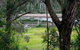 Brodribb River Rainforest Cabins Cabin 3 - thumb 3