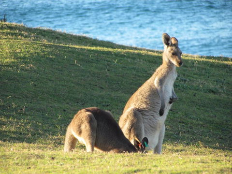 Lake Russell Retreat - Accommodation Fremantle 6