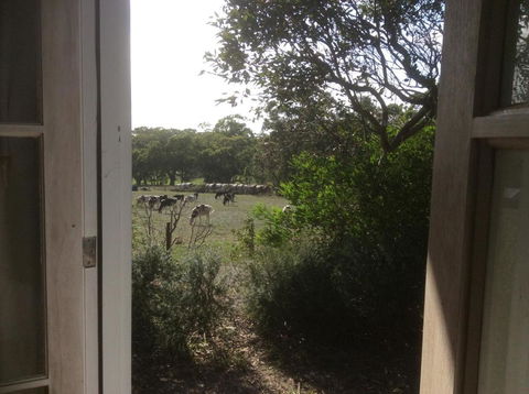 Aashay B & B - Accommodation Fremantle 3