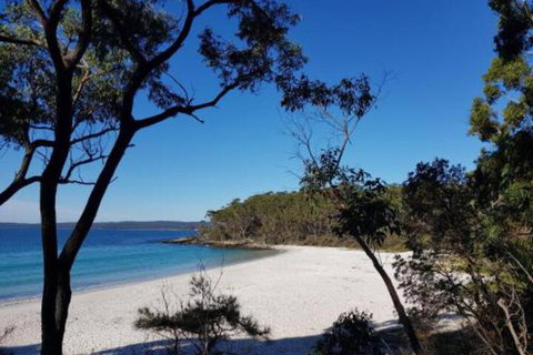 Excellent St. Granny Flat - Accommodation Fremantle 6