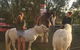 Glamping Gypsy Hobart - thumb 5