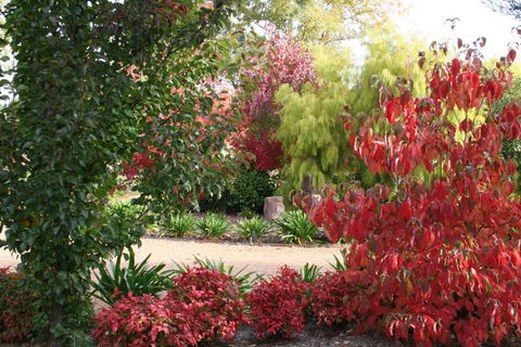 Delderfield Cottages - Accommodation Fremantle 4