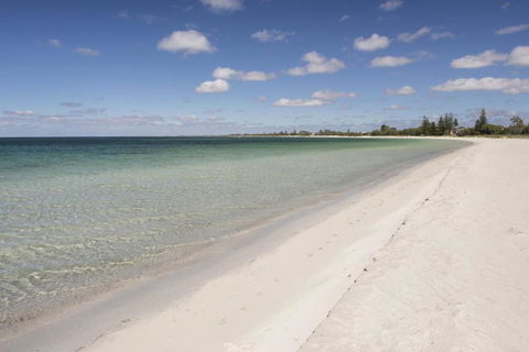 Sugar Shack - Accommodation Fremantle 4