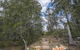 Scenic Illawong Riverside Getaway 1bed1bath Unit - thumb 6