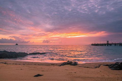 RED COWRIE 321atPALM COVE - Accommodation Fremantle 5