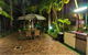 A Taste Of The Tropics - thumb 6