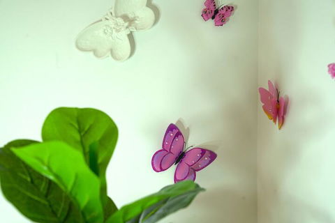 A Cozy 3BRM House At Doncaster - Accommodation Fremantle 1