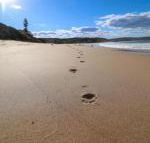 Surfers Paradise at Catherine Hill Bay - Accommodation Fremantle