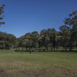 Mollymook NSW Accommodation Fremantle